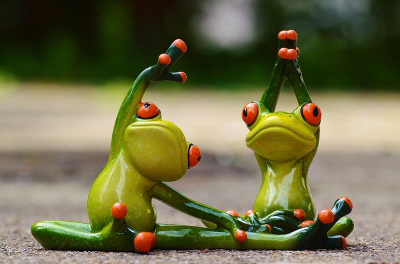 Vinyasa Flow Yoga